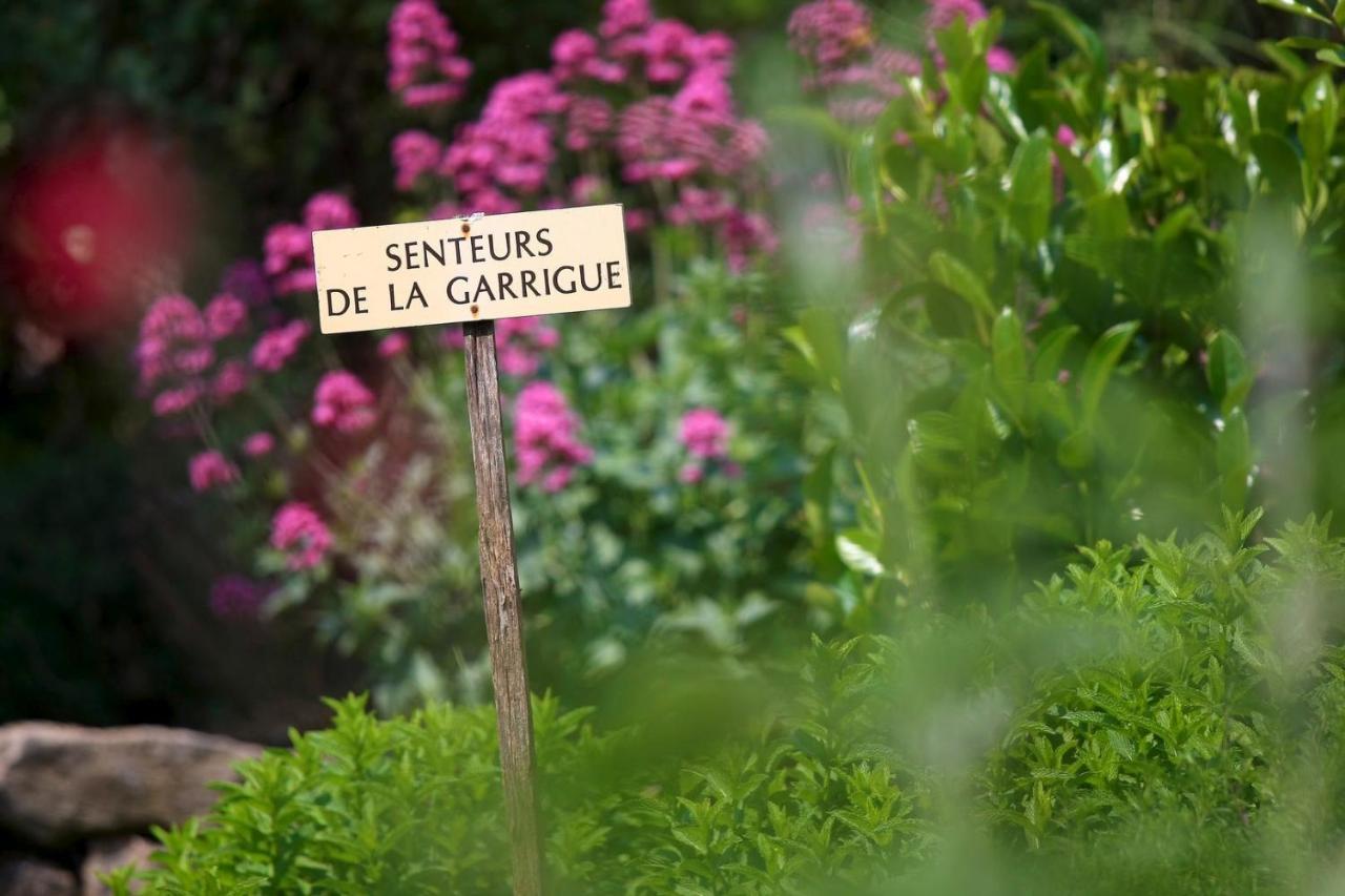 Figanières Maison De Village La Clemaline מראה חיצוני תמונה